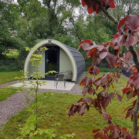 Mount Hillary Holiday Pods Cork Ngoại thất bức ảnh